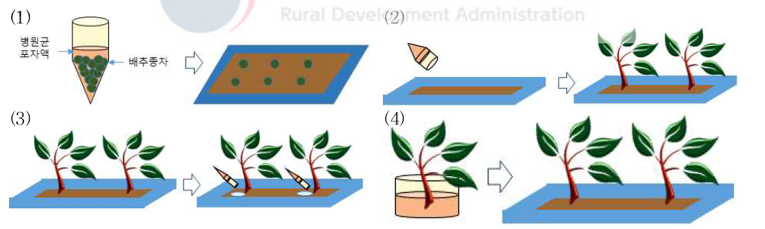 병원균 접종 방법((1): 종자접종; (2): 토양혼화; (3): 토양관주; (4): 유묘침지)