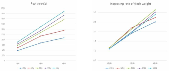 파종량에 따른 생체중(g) 및 증가율(%)