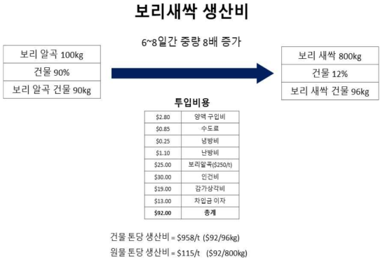 호주에서의 보리새싹 생산비 조사결과