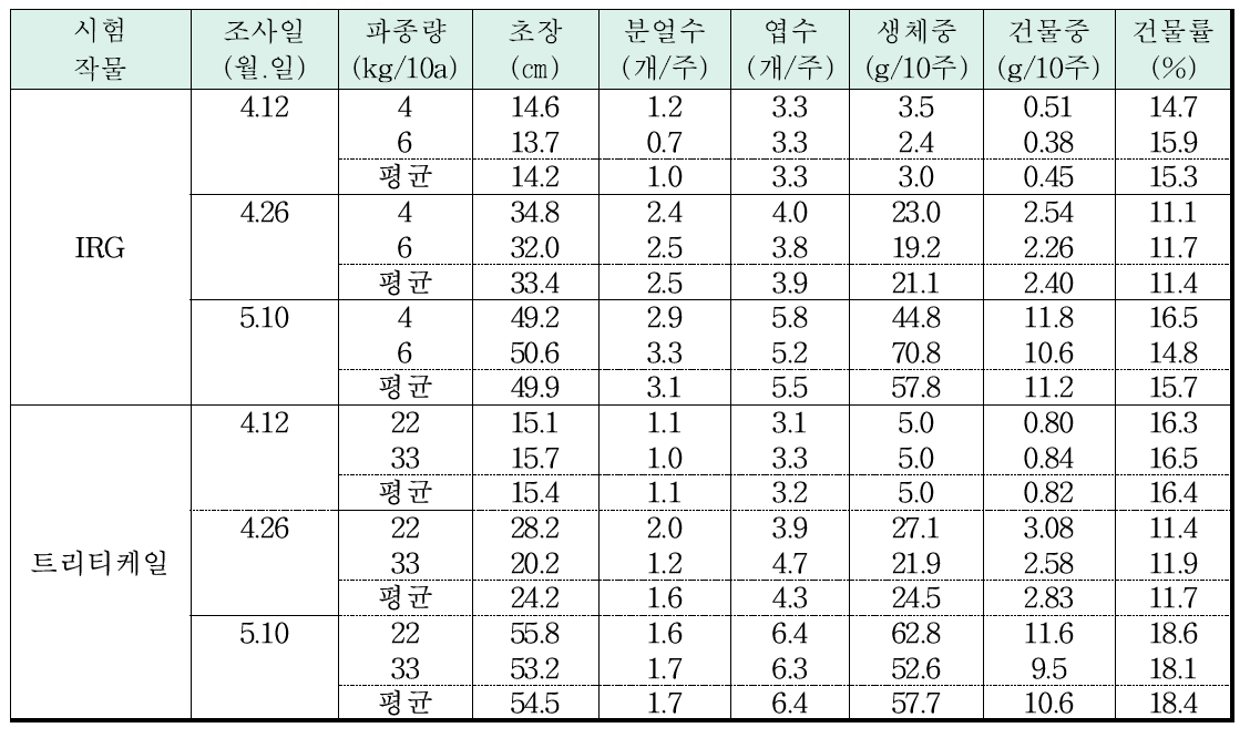 논 이용 IRG, 트리티케일 생육시기별 생육변화