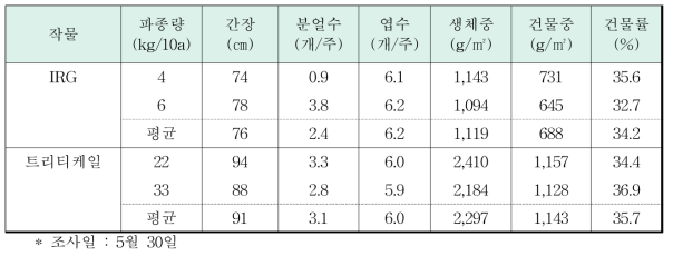 수확기 IRG, 트리티케일의 생육특성