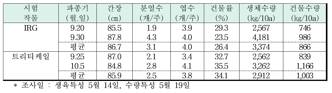 수확기 IRG, 트리티케일의 생육 및 수량 특성