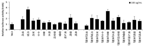 잡곡류의 aP2 luciferase 활성 분석 결과