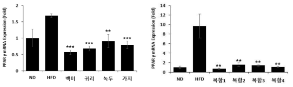 한식 식재료 섭취 제브라피쉬의 지방분화 촉진 유전자(PPARγ) 발현 분석 결과