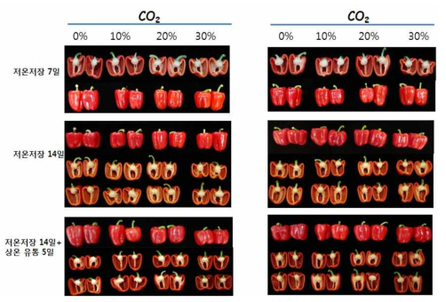 저장 기간 별 CO2처리 및 저장온도에 따른 파프리카 외관 및 종자 변화