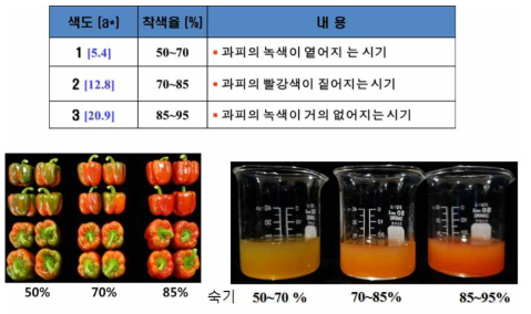 파프리카 숙기별 색도 조사