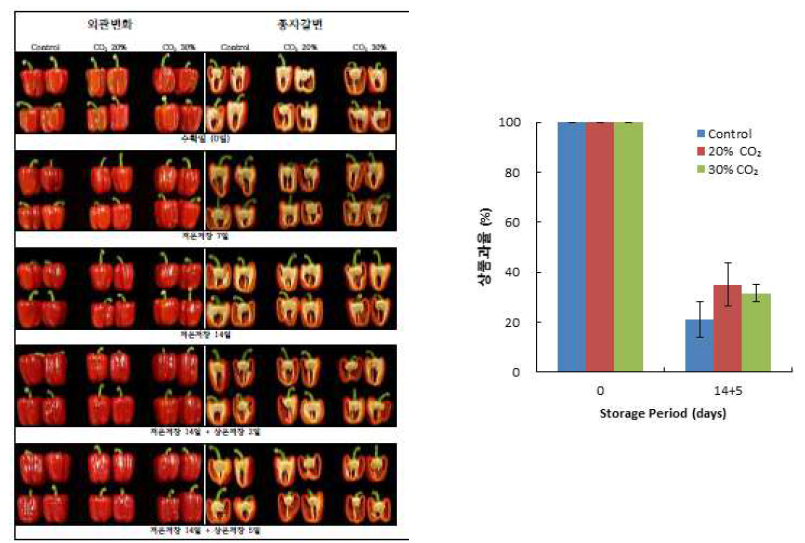 저장기간별 CO₂처리 농도에 따른 파프리카 외관 변화