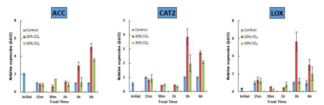 파프리카 CO₂ 처리 시간대별 유전자발현 변화