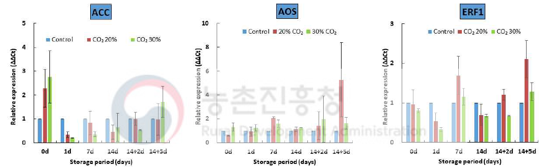 파프리카 저장기간별 CO₂ 처리 농도에 따른 유전자 발현 변화