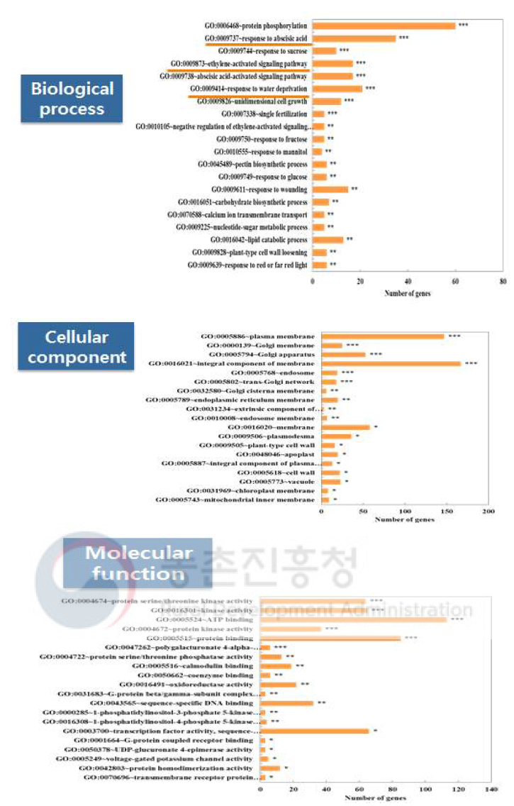 파프리카 CO2 반응 유전자들의 기능 분류 (Go-term analysis)