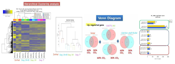 CO2 처리 토마토 저장기간별 전사체분석