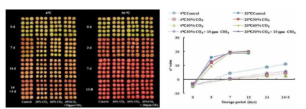 CO2, ClO2 복합 처리에 따른 ‘도태랑’ 토마토 과피의 색 변화