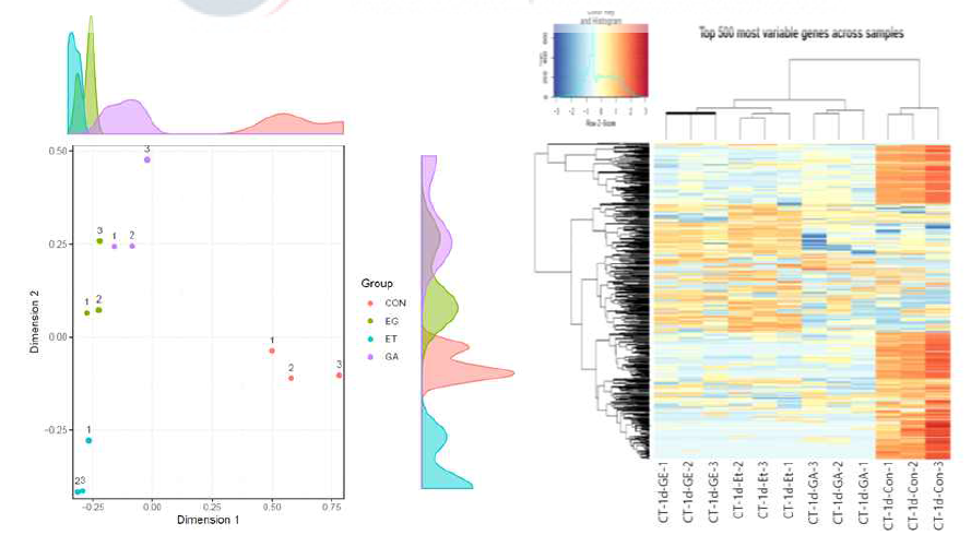 방울토마토 에틸렌과 GA 호르몬 처리 전사체 분석 MDS과 heat map