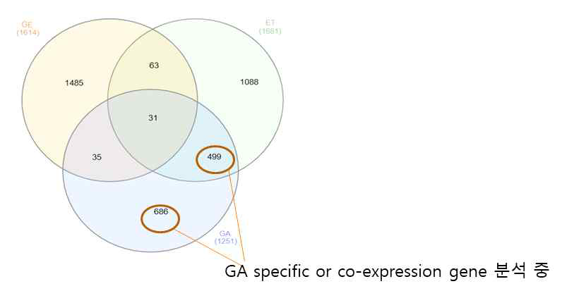 방울토마토 에틸렌과 GA 처리 전사체 분석 Venn diagram