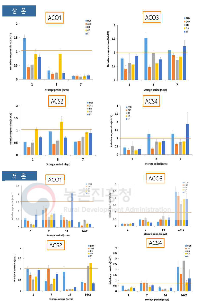 방울토마토 에틸렌, Gibberellin, IAA, Brassinolide 처리구의 에틸렌 합성유전자의 발현패턴