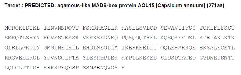 CaTF5(AGL15)의 항체 peptide 제작 예측 결과