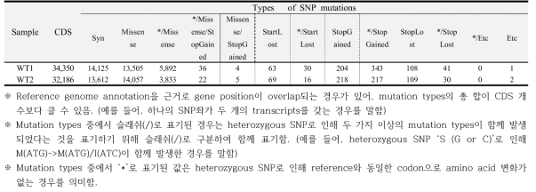 Gene affected by SNP mutations