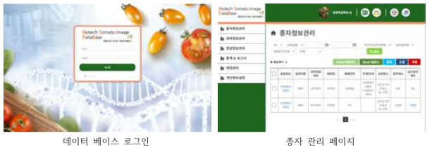 생명공학 토마토 영상 데이터베이스