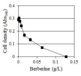 Berberine의 농도별 효능