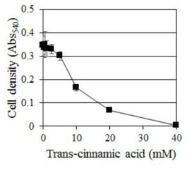 C. albicans에 대한 Trans-cinnamic acid의 농도별 생장 억제 효과