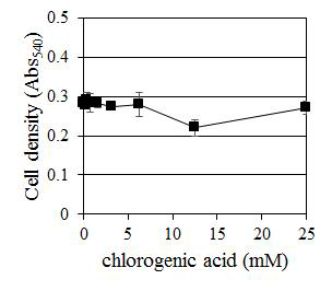 C. albicans에 대한 Chlorogenic acid의 농도별 생장 억제 효과