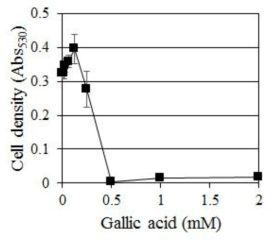 C. albicans에 대한 Gallic acid의 농도별 생장 억제 효과