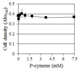 C. albicans에 대한 P-cymene의 농도별 생장 억제 효과