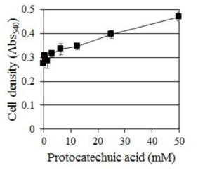 C. albicans에 대한 Protocatechuic acid의 농도별 생장 억제 효과