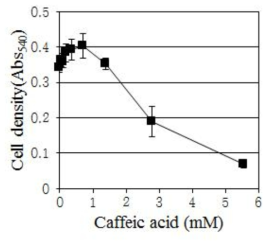 C. albicans에 대한 Caffeic acid의 농도별 생장 억제 효과