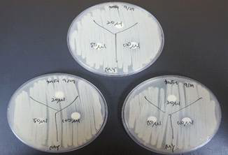 경쟁제품의 항균활성 평가, A제품-해피바스