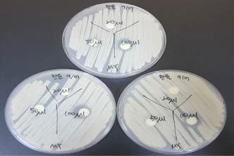 경쟁제품의 항균활성 평가, B제품-한율