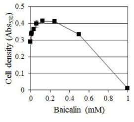 C. albicans에 대한 Baicalin의 농도별 생장 억제 효과