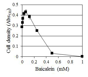 C. albicans에 대한 Baicalein의 농도별 생장 억제 효과