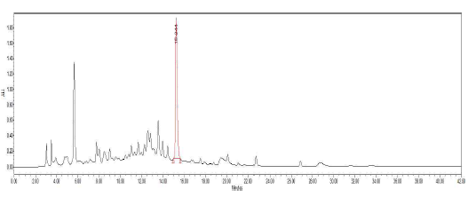 지유 물 추출물 HPLC 크로마토그램