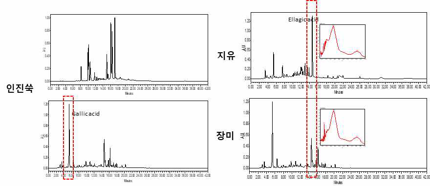 인진쑥, 지유, 장미 주요성분 검증