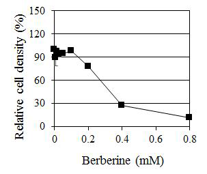 C. albicans에 대한 Berberine의 농도별 생장 억제 효과