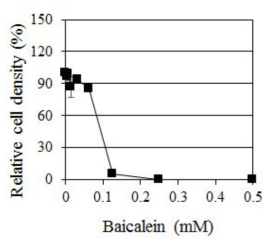 C. albicans에 대한 Baicalein의 농도별 생장 억제 효과