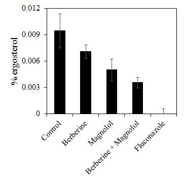berberine과 magnolol 혼합에 의한 C. albicans의 ergosterol 생산량 변화