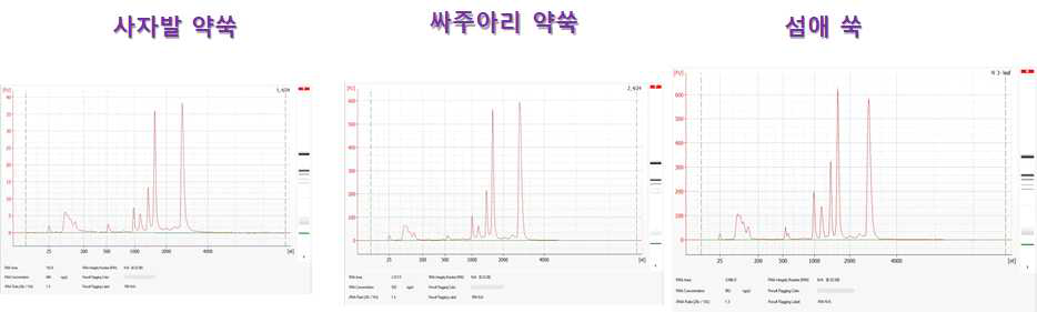 쑥 품종별 RNAseq용 Total RNA 분리