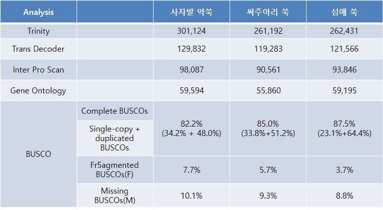 품종별 RNAseq 결과에 대한 유전정보 분석(BUSCO분석