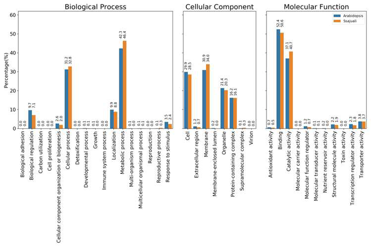 Gene Ontology 분석