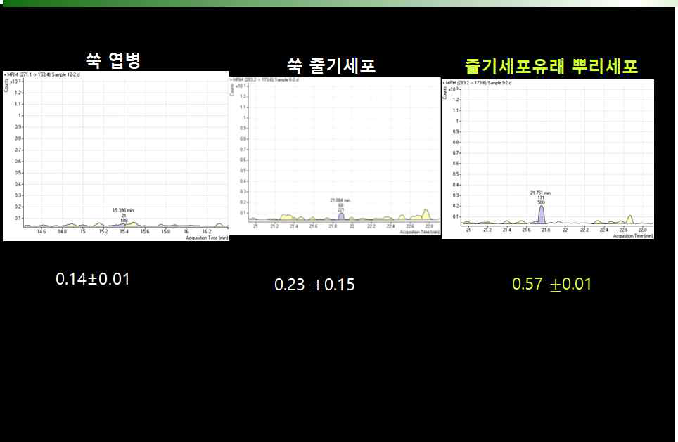 인진쑥 배양세포별 Artemisinin농도(mg/L)