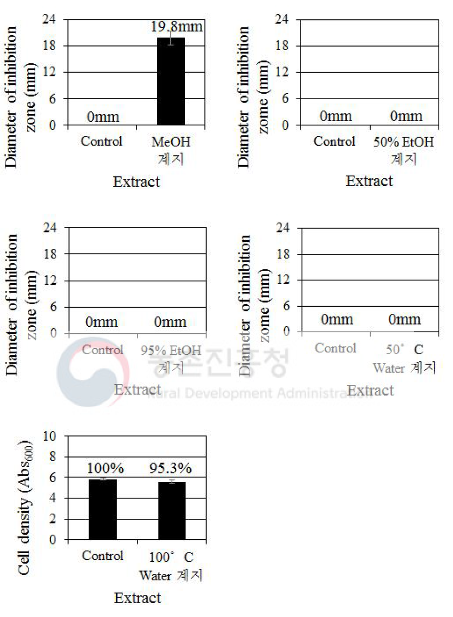 용매에 따른 계지 추출물의 C. albicans에 대한 생장 억제 효과 비교