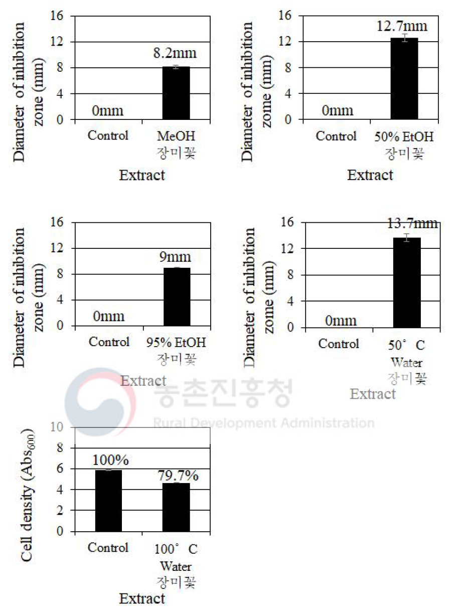 용매에 따른 장미꽃 추출물의 C. albicans에 대한 생장 억제 효과 비교