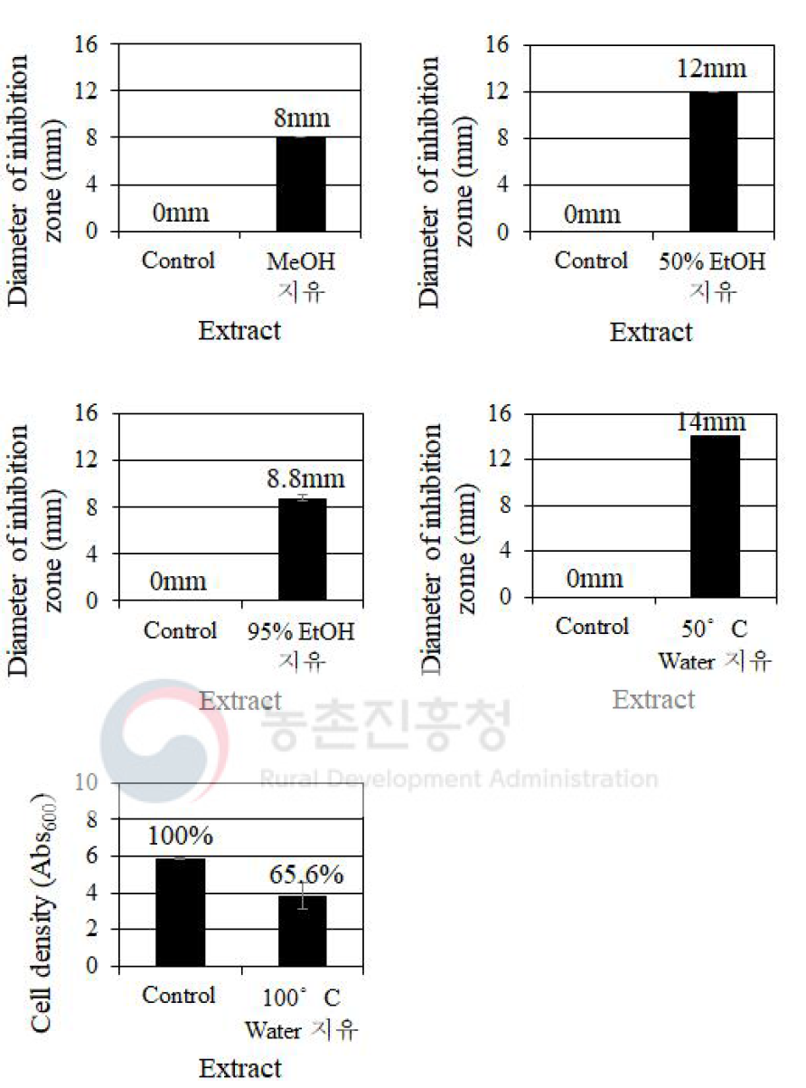 용매에 따른 지유 추출물의 C. albicans에 대한 생장 억제 효과 비교