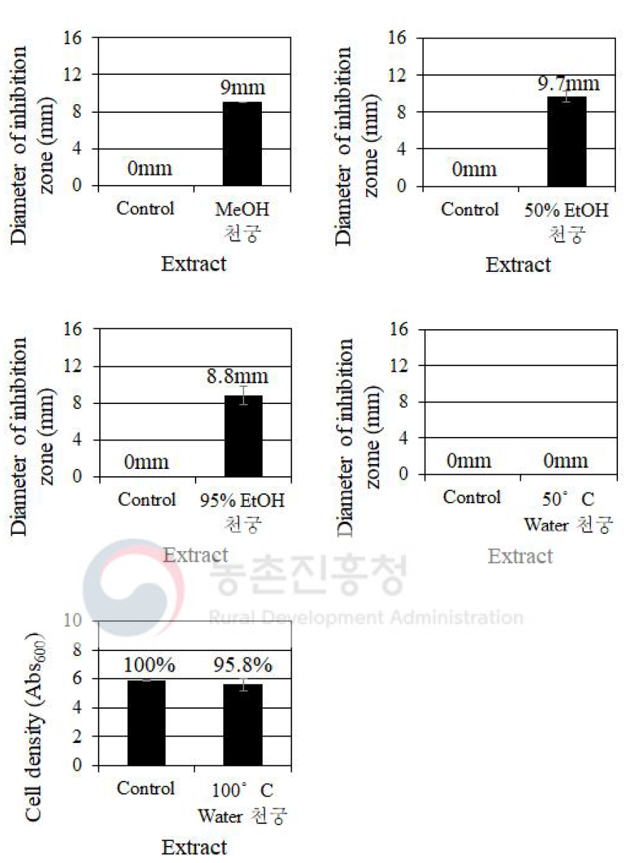용매에 따른 천궁 추출물의 C. albicans에 대한 생장 억제 효과 비교