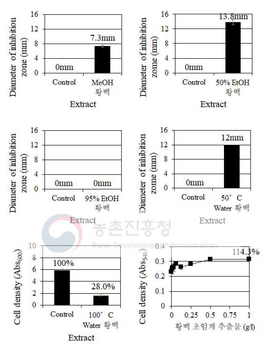 용매에 따른 황백 추출물의 C. albicans에 대한 생장 억제 효과 비교