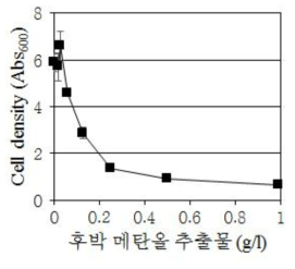 후박 메탄올 추출물의 농도별 살균 효력