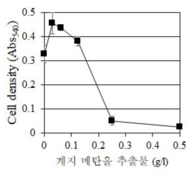 계지 메탄올 추출물의 농도별 살균 효력