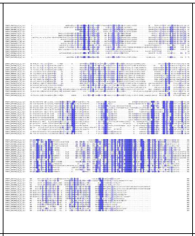 Glycosyltransferases domain분석